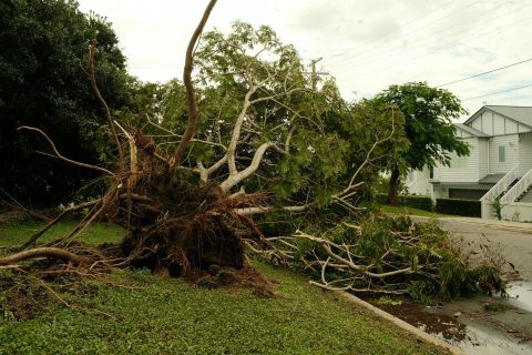 Image depicting the Service Emergency Tree Removal
